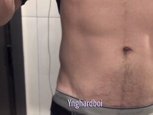 Ynghardboi