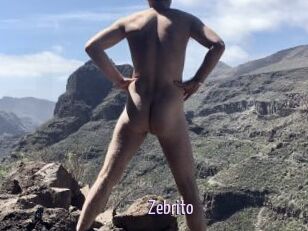 Zebrito