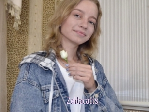 Zeldacatts