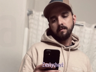 Zestychest